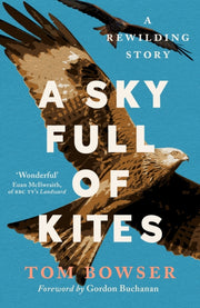 Sky Full Of Kites By Bowser, Tom