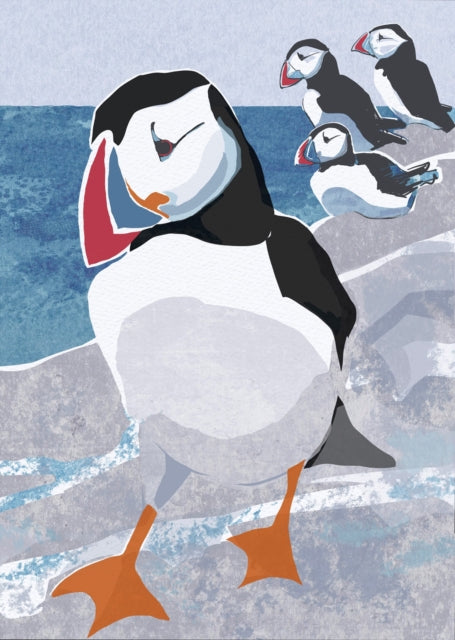 Nature Notebook Puffin