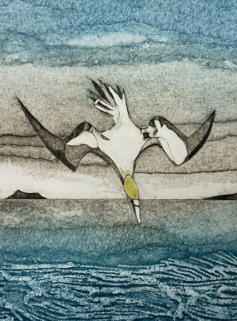 Wild Birds Pocket Notebook Gannet By Ross-thompson, Sarah