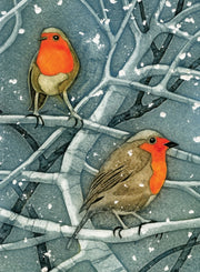 Wild Birds Pocket Notebook Robin