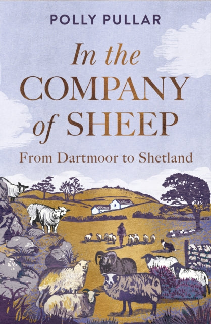 In The Company Of Sheep By Pullar, Polly