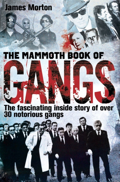 Mammoth Book Of Gangs