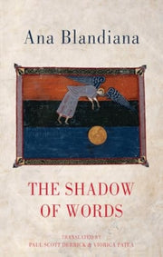 Shadow Of Words