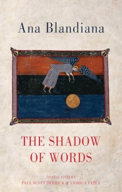 Shadow Of Words