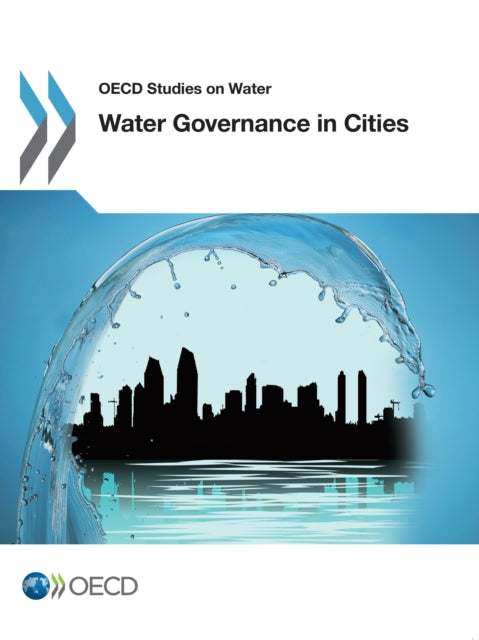 Water Governance In Cities