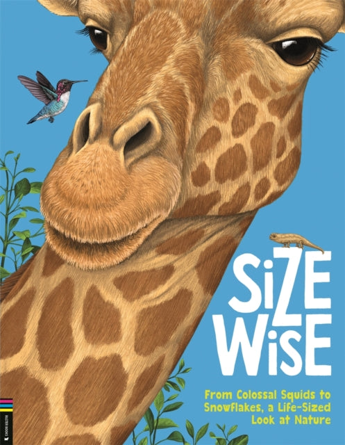 Size Wise By Bedoyere, De La Cam