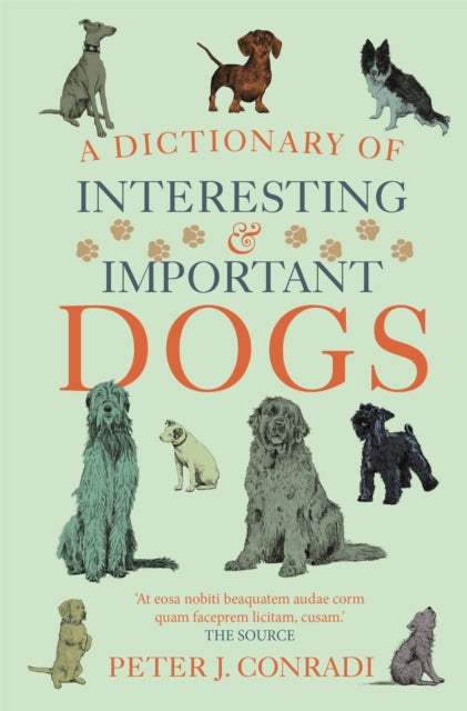 Dictionary Of Interesting/important Dog