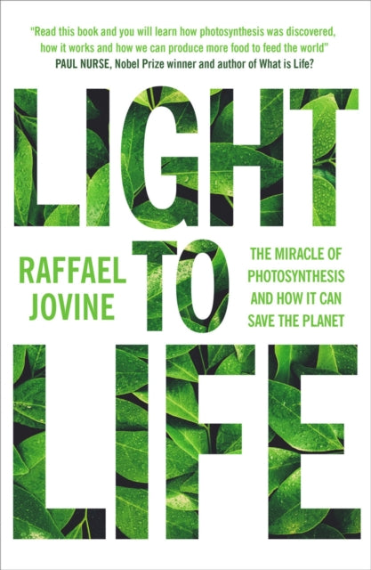 Light To Life