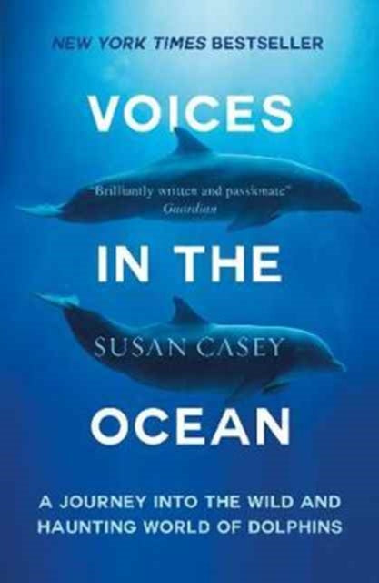 Voices In The Ocean