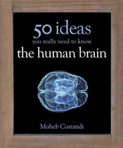 50 Human Brain Ideas