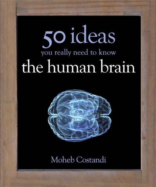 50 Human Brain Ideas