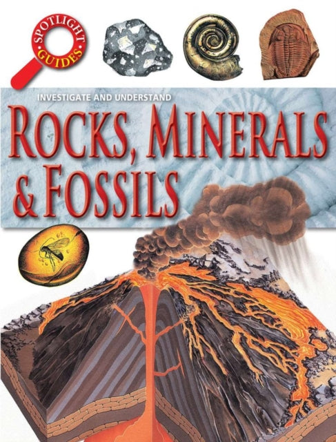 Rocks & Fossils By Curtis Neil