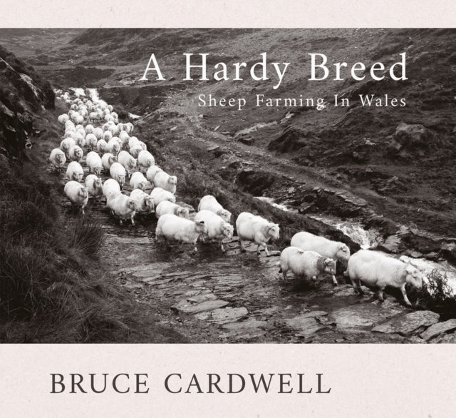 Hardy Breed