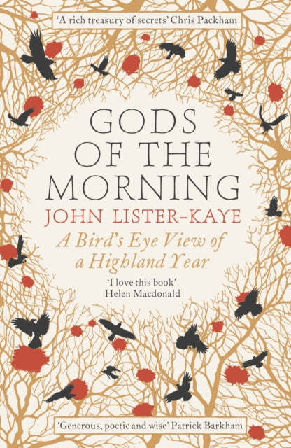 Gods Of The Morning By Kaye-lister, John