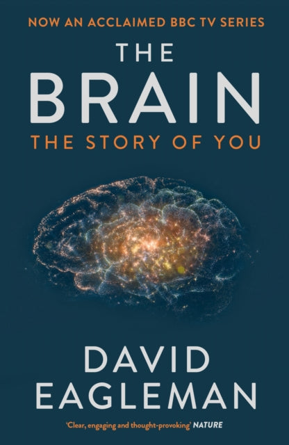 Brain: Story Of You By Eagleman, David