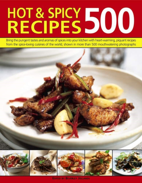 500 Hot Spicy Recipes