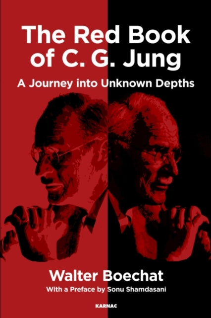 Red Book Of Cg Jung