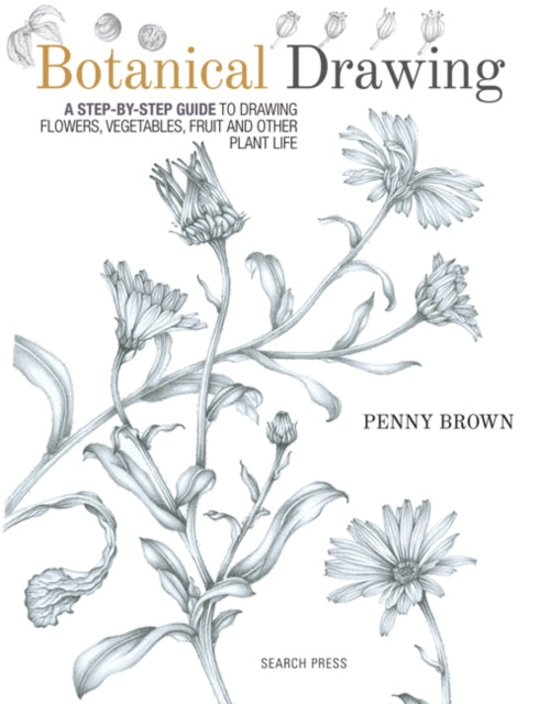 Botanical Drawing By Brown, Penny