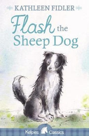 Flash The Sheep Dog