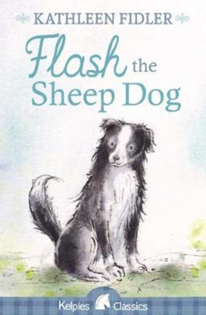 Flash The Sheep Dog