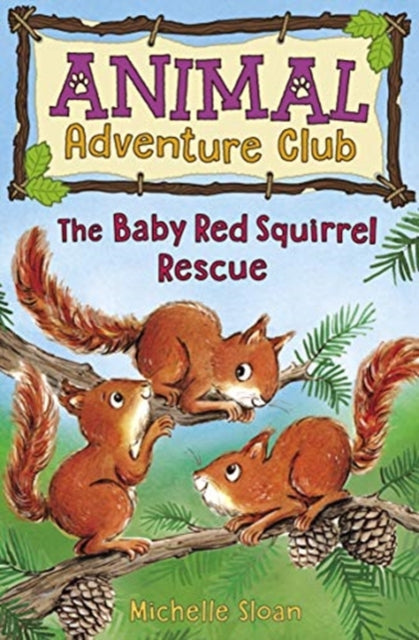 Aac3 Baby Red Squirrel Rescue Animal A