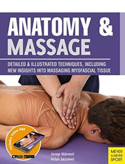 Anatomy Massage