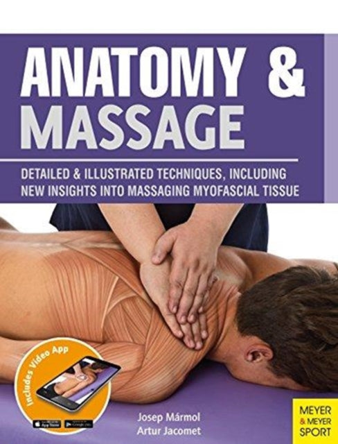 Anatomy Massage