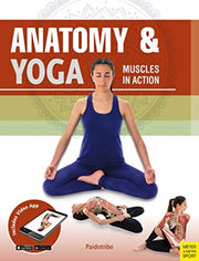 Anatomy Yoga