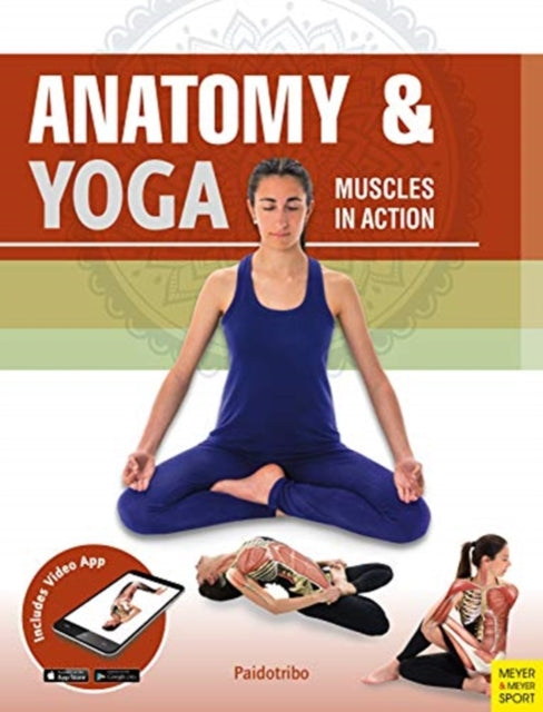 Anatomy Yoga