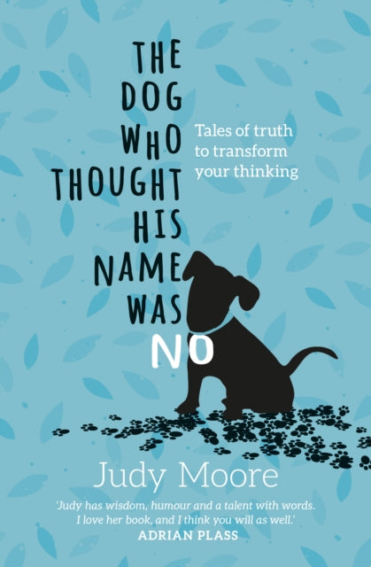 Dog Who Thought His Name Was No The