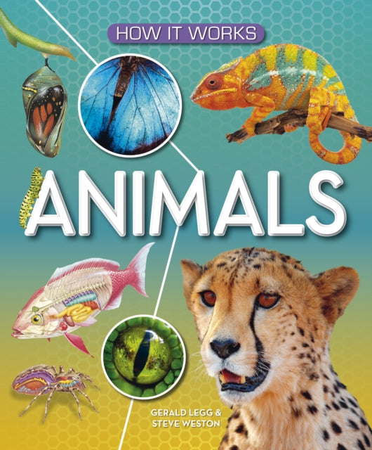 Animals