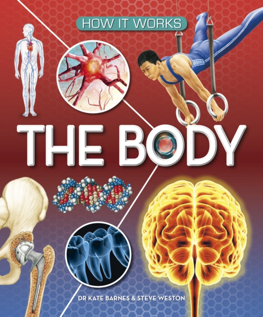 How It Works The Body