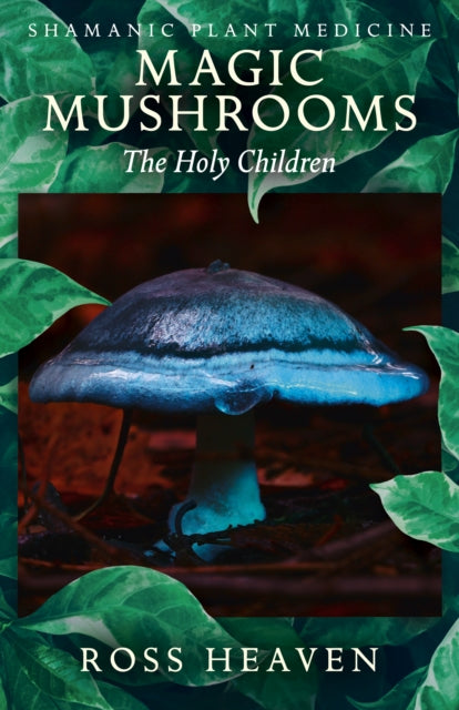 Shamanic Plant Medicine Magic Mushrooms