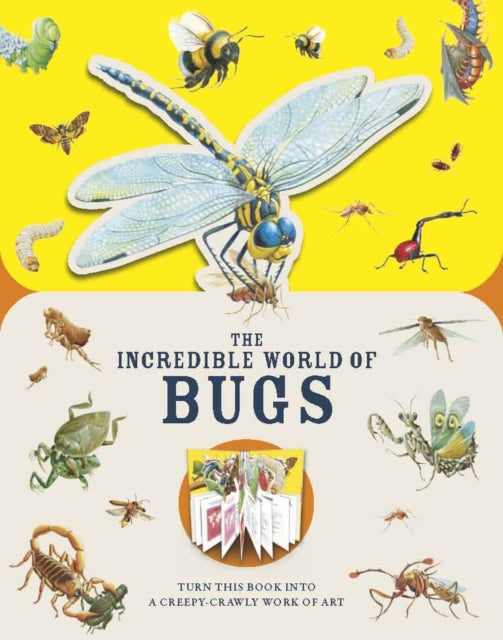Incredible World Of Insects