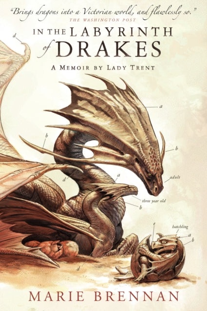 In The Labyrinth Of Drakes By Brennan, Marie