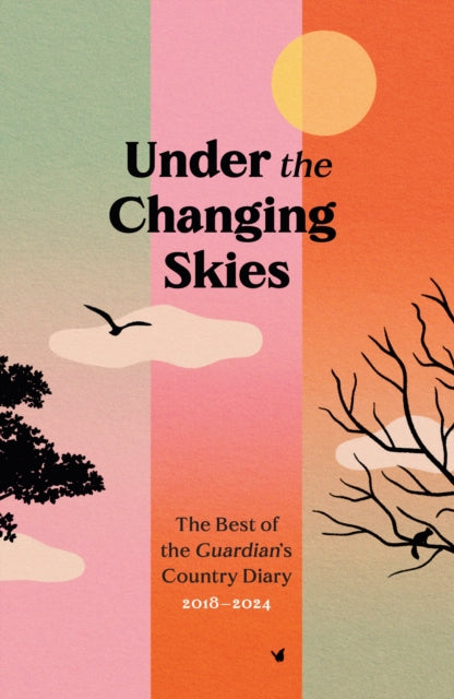 Under The Changing Skies