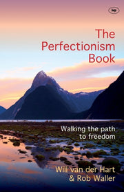 Perfectionism Book The