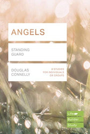 Angels Lifebuilder