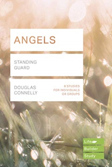 Angels Lifebuilder