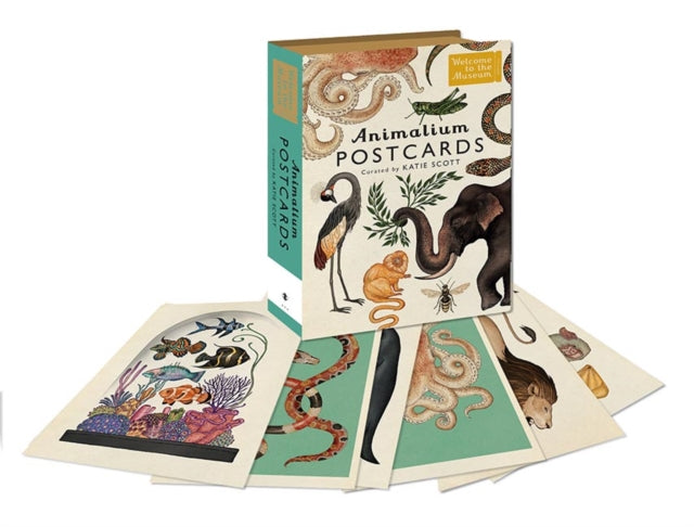 Animalium Boxed Of 50 Postcards