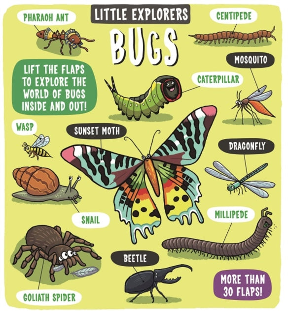 Bugs
