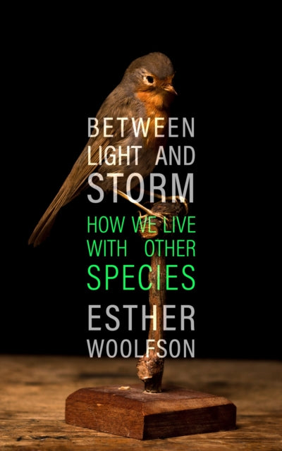 Between Light & Storm