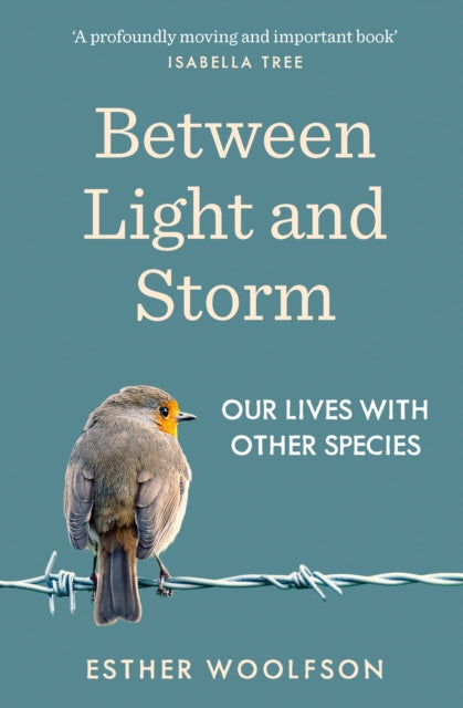 Between Light & Storm