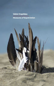Measures Of Expatriation