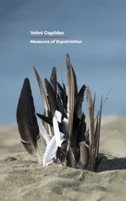 Measures Of Expatriation