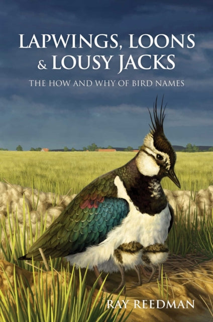 Lapwings Loons & Lousy Jacks