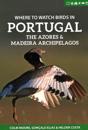 Where Watch Birds Portugal Azores Amp By Moore, Colm
