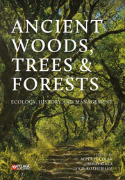 Ancient Woods Trees And Forests