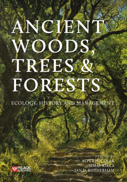 Ancient Woods Trees And Forests