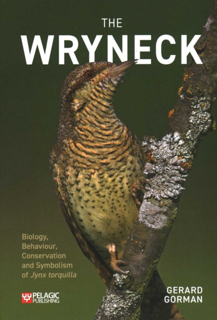 Wryneck